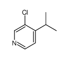 3-chloro-4-propan-2-ylpyridine CAS:90731-99-0 第1张