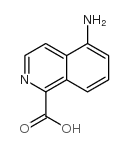 5-aminoisoquinoline-1-carboxylic acid