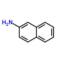 2-naphthylamine Cas:91-59-8 第1张