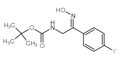 [2-(4-fluoro-phenyl)-2-hydroxyimino-ethyl]-carbamic acid tert-butyl ester