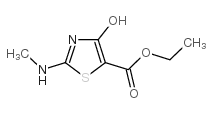 (5E)-5-[ethoxy(hydroxy)methylidene]-2-(methylamino)-1,3-thiazol-4-one