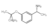 Benzenemethanamine, 3-(1,1-dimethylethoxy)-α-methyl-, (αR)