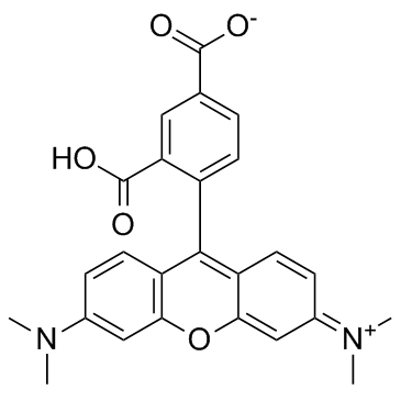 5-TAMRA