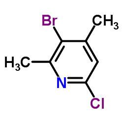 3-Bromo-6-chloro-2,4-dimethylpyridine CAS:918145-29-6 第1张