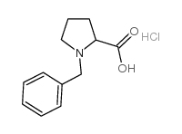 1-benzyl-pyrrolidine-2-carboxylic acid hydrochloride