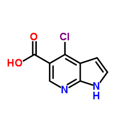 4-Chloro-1H-pyrrolo[2,3-b]pyridine-5-carboxylic acid