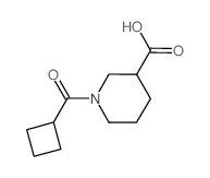 1-(cyclobutanecarbonyl)piperidine-3-carboxylic acid CAS:926214-73-5 第1张