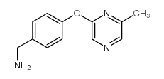 [4-(6-methylpyrazin-2-yl)oxyphenyl]methanamine