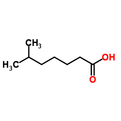 6-METHYLHEPTANOIC ACID CAS:929-10-2 manufacturer price 第1张