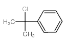 2-chloropropan-2-ylbenzene CAS:934-53-2 第1张