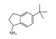 5-tert-butyl-2,3-dihydro-1H-inden-1-amine CAS:935680-90-3 第1张