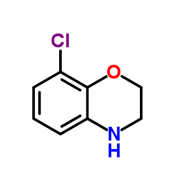 8-Chloro-3,4-dihydro-2H-1,4-benzoxazine