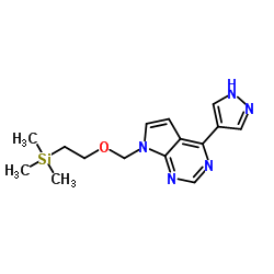 INCB032304