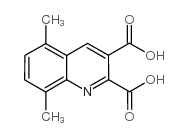 5,8-Dimethylquinoline-2,3-dicarboxylic acid