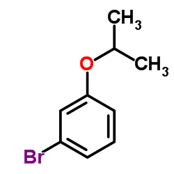 1-Bromo-3-isopropoxybenzene CAS:95068-01-2 第1张