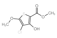 Methyl 4-chloro-3-hydroxy-5-methoxythiophene-2-carboxylate