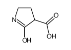 2-oxopyrrolidine-3-carboxylic acid