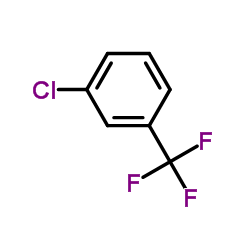 3-Chlorobenzotrifluoride Cas:98-15-7 第1张