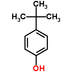 4-tert-butylphenol Cas:98-54-4 第1张