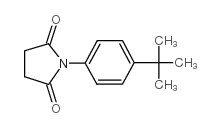 N-(4-tert-Butylphenyl)succinimide