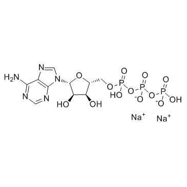 adenosine 5′-triphosphate disodium salt Cas:987-65-5 第1张