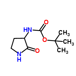 tert-butyl N-(2-oxopyrrolidin-3-yl)carbamate CAS:99780-97-9 第1张