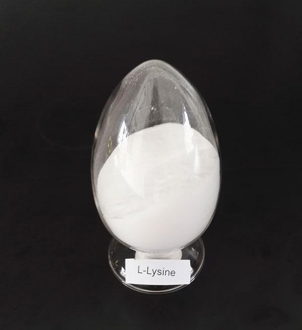 L-LYSINE BASE CAS:56-87-1 manufacturer price 第1张