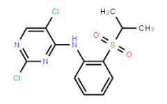 2,5-Dichloro-N-(2-(isopropylsulfonyl)phenyl)pyrimidin-4-amin