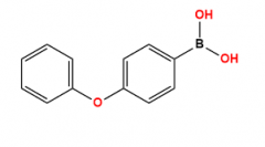 3-(4-Phenoxyphenyl)-1H-pyrazolo[3,4-d]pyrimidin-4-amine CAS: