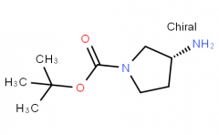 (R)-(+)-1-Boc-3-aminopyrrolidine CAS: 147081-49-0