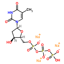 CAS:18423-43-3 Thymidine 5'-Triphosphate Sodium Salt 第1张