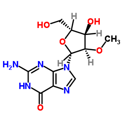 2'-O-methylguanosine 第1张
