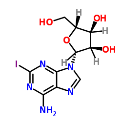 (2R,3R,4S,5R)-2-(6-amino-2-iodopurin-9-yl)-5-(hydroxymethyl)oxolane-3,4-diol 第1张