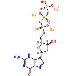 2'-Deoxyguanosine-5'-triphosphate trisodium salt