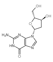 2'-DEOXYGUANOSINE