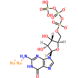 Guanosine 5-triphosphate,disodium salt hydrate