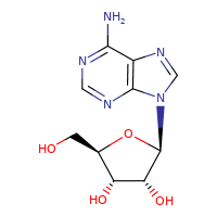 CAS:58-61-7 Adesine 第1张