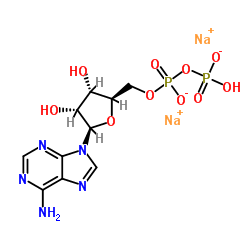 Adenosine-5'-diphosphate disodium salt