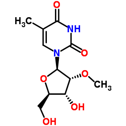 CAS:55486-09-4 2'-O-METHYLRIBOTHYMIDINE 第1张