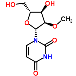 2'-O-methyluridine 第1张