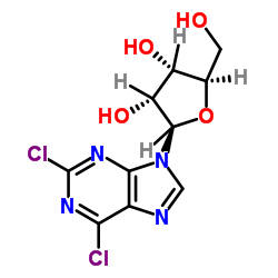 2,6-Dichloropurine-9-b-D-riboside 第1张