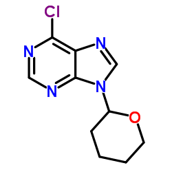 CAS:7306-68-5 6-chloro-9-(oxan-2-yl)purine 第1张