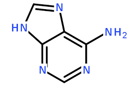 Adenine 第1张