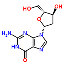 2'-deoxyguanosine