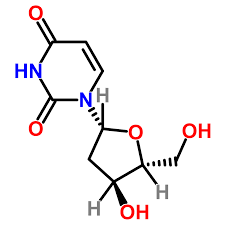 2'-deoxyuridine