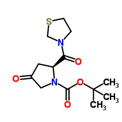 3-((S)-1-tert-butoxycarbonyl-4-oxo-2-pyrrolidinylcarbonyl)-1,3-thiazolidine 第1张