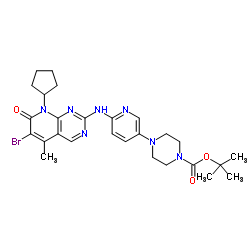 tert-butyl 4-[6-[(6-bromo-8-cyclopentyl-5-methyl-7-oxopyrido[2,3-d]pyrimidin-2-yl)amino]pyridin-3-yl]piperazine-1-carboxylate 第1张
