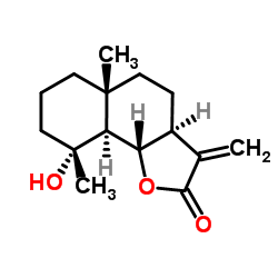  O-ethylhydroxylamine,hydrochloride