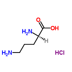 CAS:16682-12-5 (2R)-2,5-diaminopentanoic acid,hydrochloride 第1张