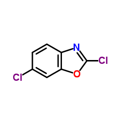 2,6-Dichlorobenzoxazole 第1张